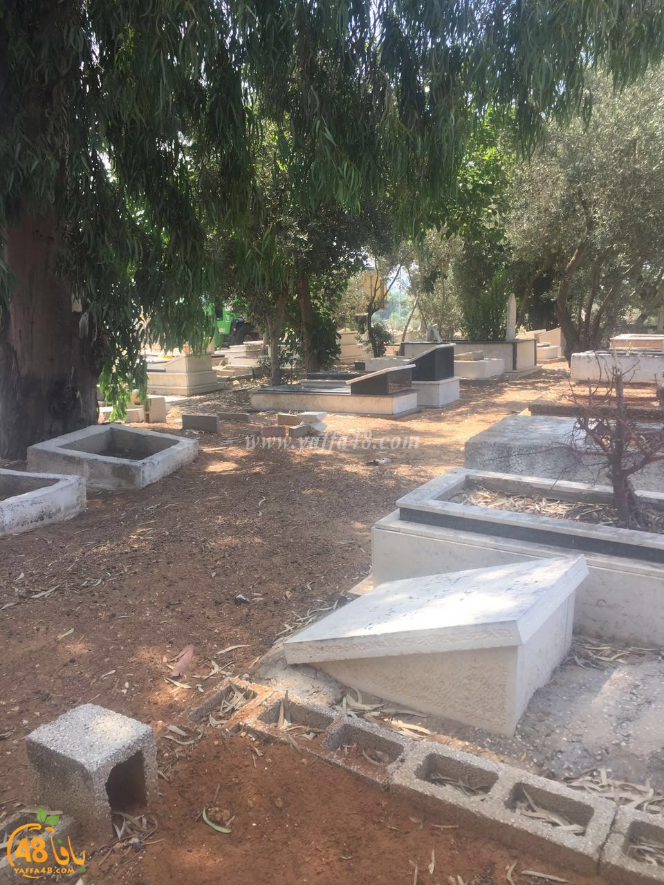 taso  tndef (10).jpg